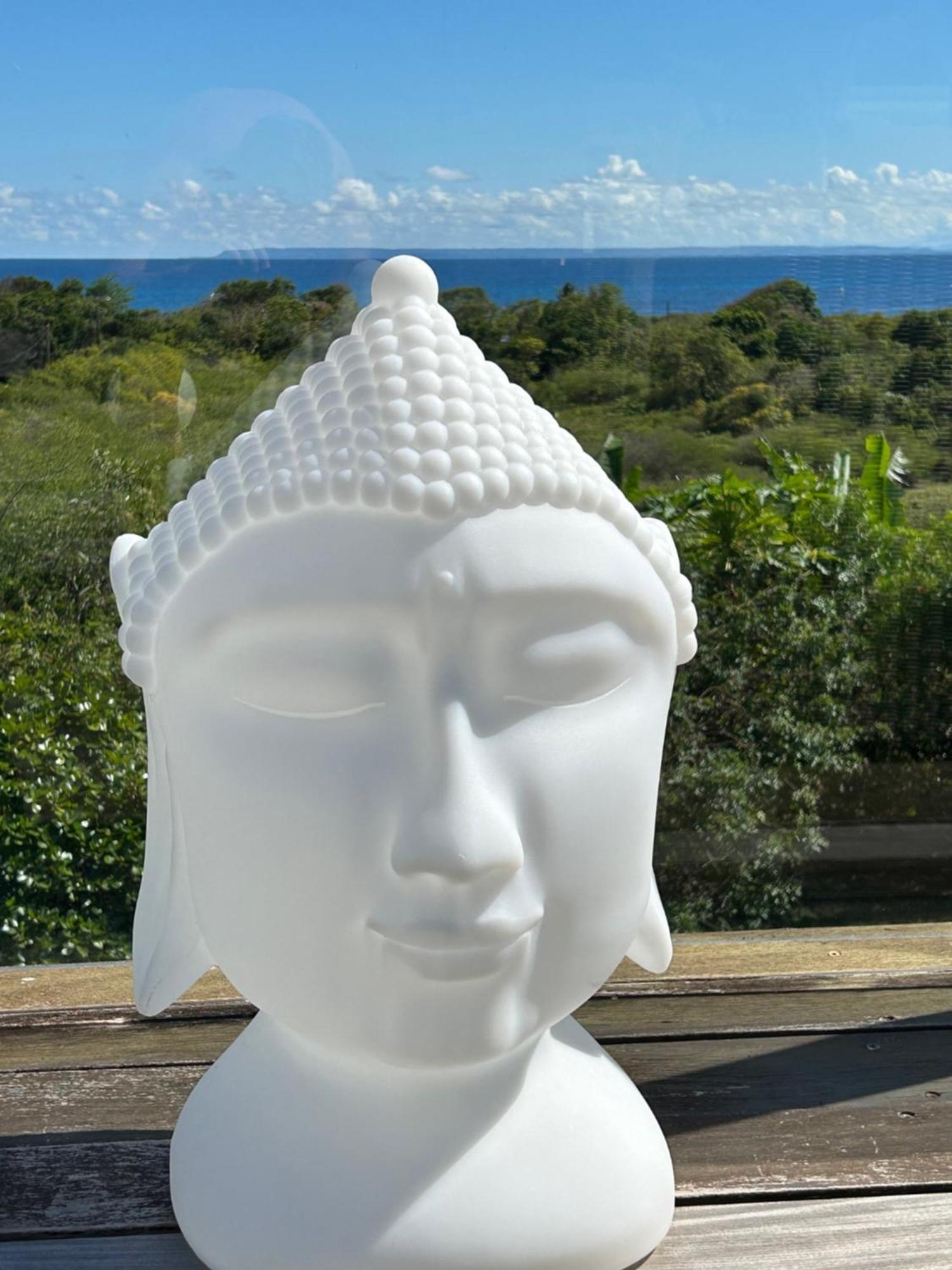Villa L'Hacienda: Seaside Luxury with Pool, Jacuzzi & Garden Saint-Francois  Exterior photo